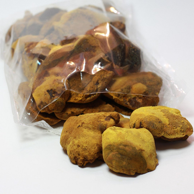 [문상영 버섯]장흥 농장직송 상황버섯 실속 원형, 250g, 1개