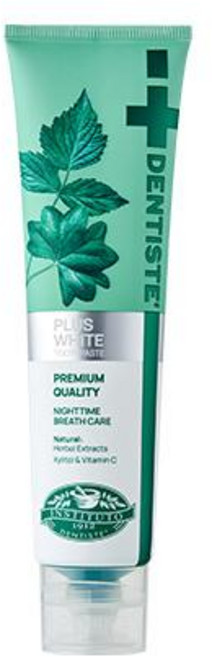 덴티스테 나이트타임 치약 튜브 100g, 1개입, 1개