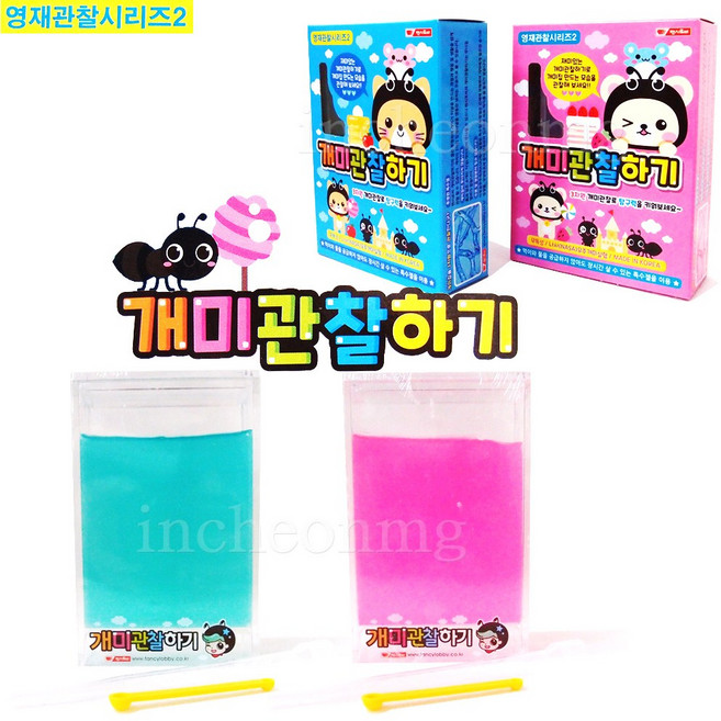 차카니샵 7000 개미 관찰하기 키우기 영재관찰시리즈2/ 랜덤, 1개