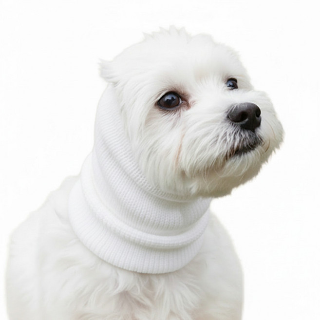 디마펫 코지이어 반려동물 강아지 고양이 진정밴드, 1개, 화이트