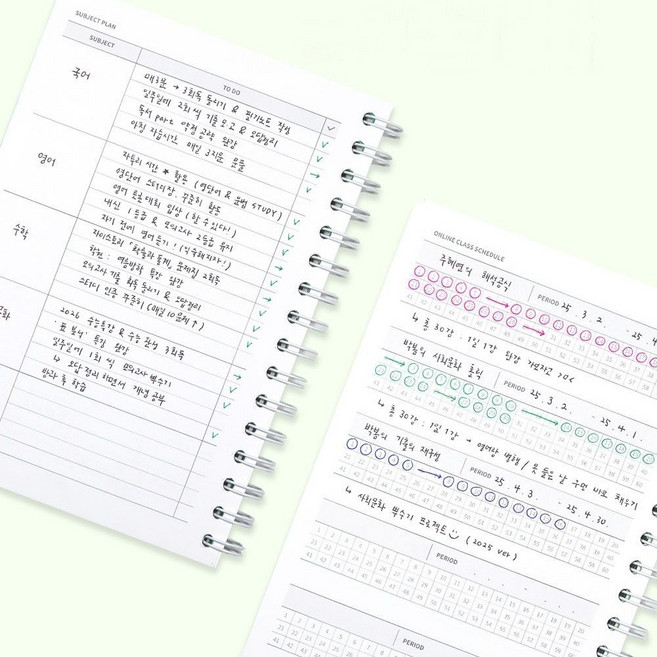 스터디 플래너 6개월 학습 다이어리 공부 계획표 온라인 인강 스케쥴, 라이트그린플래너