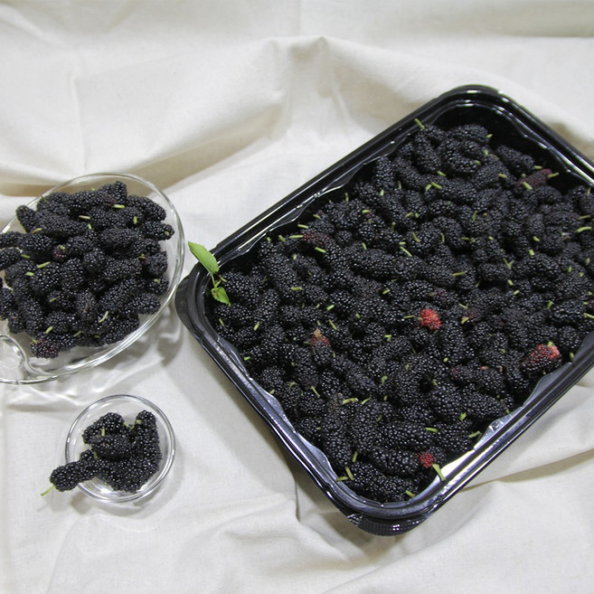 햇 생과 오디 1kg, 1박스