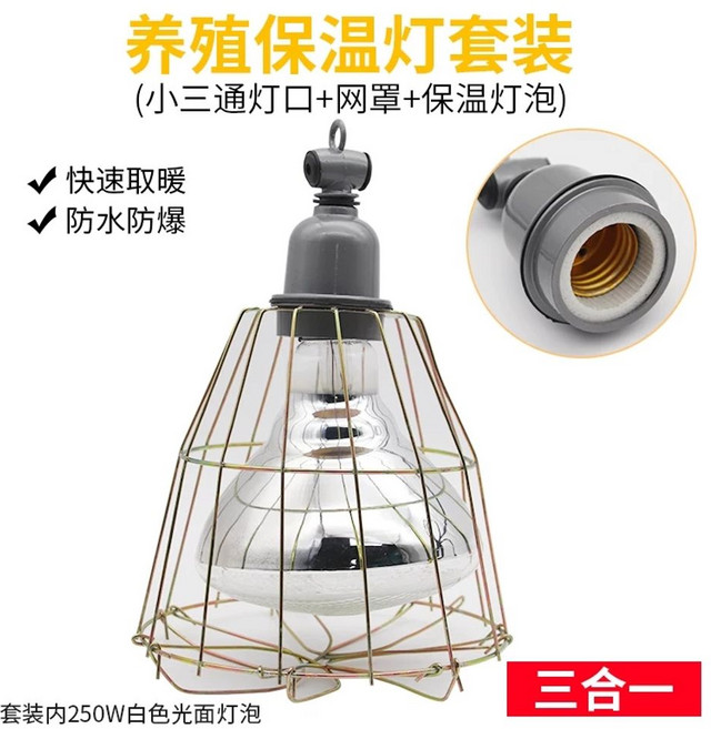 병아리 보온 전구 라이트 히팅 화이트 하우스 마우스 부화등 개 열등 양계장, J. 램프 소켓 메쉬 50W