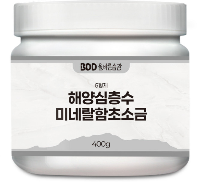 6형제 소금 미세플라스틱 불순물 제거 해양심층수 함초소금, 1개, 400g