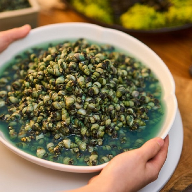 [본사직영]KBS인간극장 국내 자연산 깐다슬기 올갱이 다슬기살 고디살, 200g, 5개