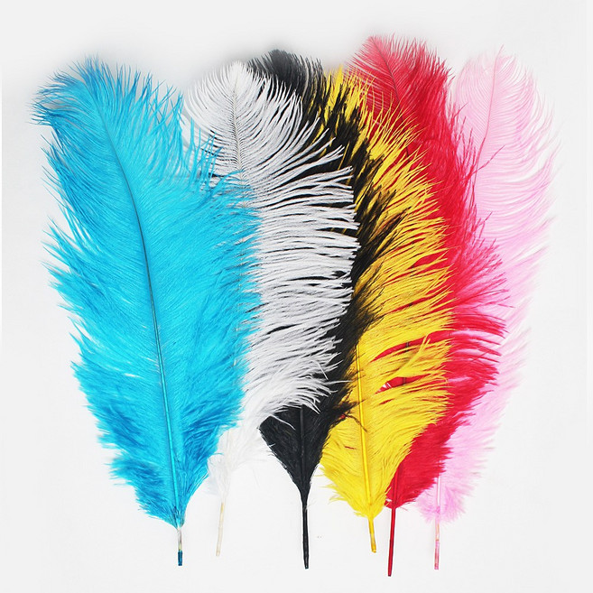 타조깃털-깃털/깃털장식/깃털재료/깃털펜/타조, 타조깃털-No.6_백아이(대-35~40), 1개