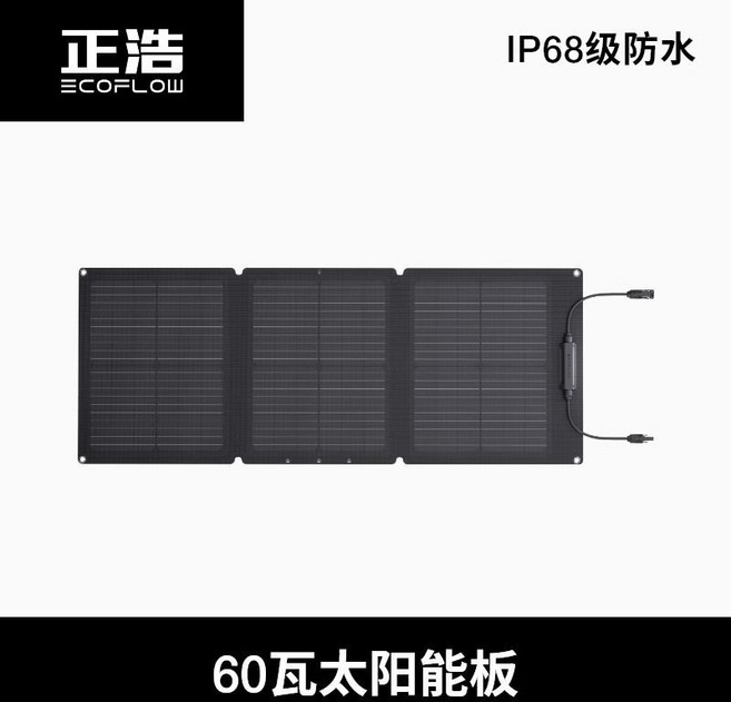 EcoFlow 正浩 60瓦 太陽能板 IP68防水 便攜設計, 110w太陽能板