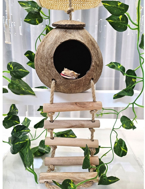 도마뱀 은신처 코코넛 사다리 은신처 크레스티드게코 천연 코코넛사다리 파충류 사육장 레오파드게코, 1개