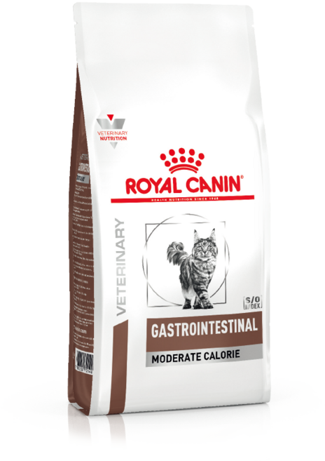 로얄캐닌 캣 가스트로 인테스티널 모더레이트 건사료 2kg / 위장관 처방식 / 처방사료 + 웰케어 유산균, 1개