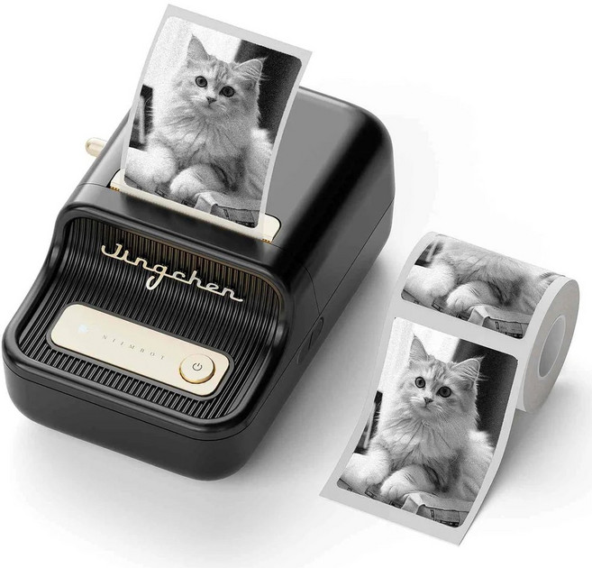 Niimbot B21포토(Pro) 듀얼컬러 라벨프린터, 1개, B21포토 블랙 +레드블랙 듀얼컬러 사각50x50