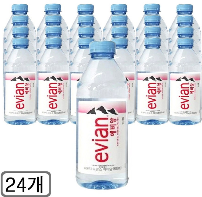 에비앙 생수 EVIAN WATER (ESSENCE) [500mlx24], 24개, 330ml