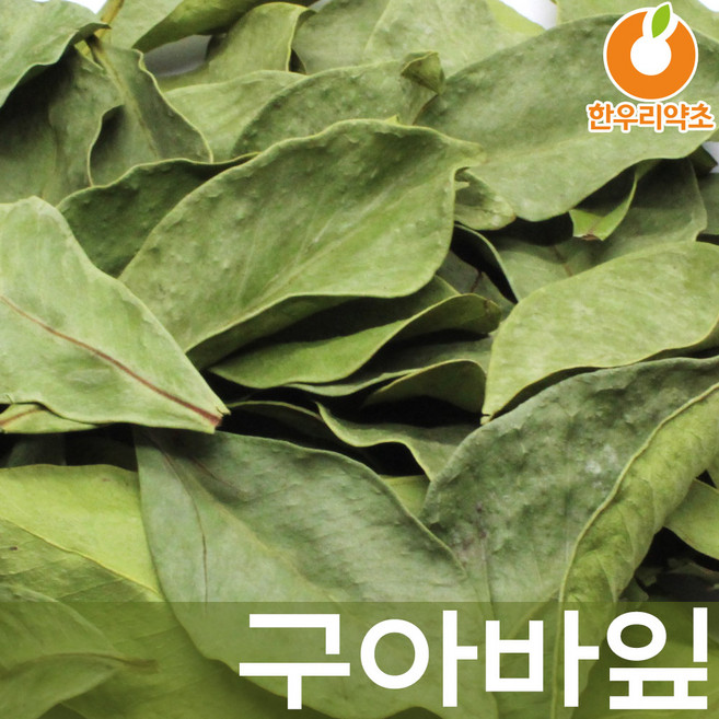 건구아바잎 건조 구아바차, 구아바잎100g, 1개, 100g