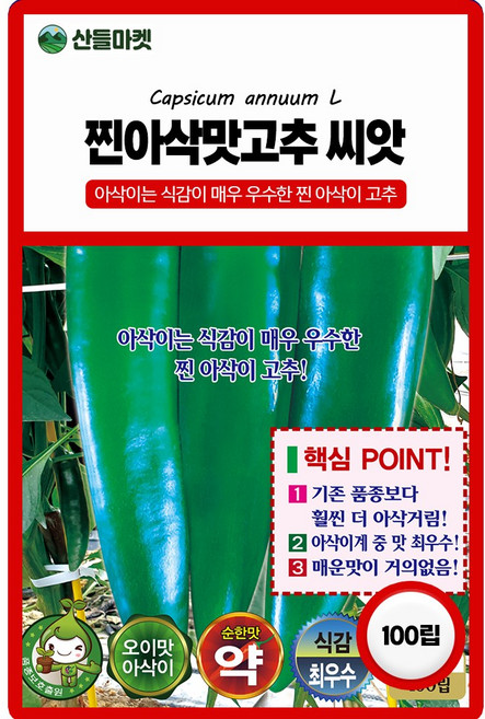 산들마켓 찐아삭맛 고추 씨앗 100립 아삭이는 식감이 매우 우수한 초세 강한 광폭형 고추씨 품종 종자, 4개
