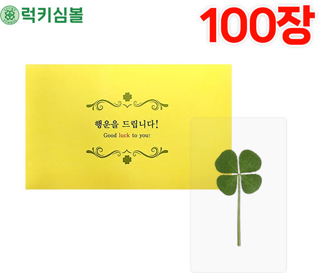[럭키심볼] 행운의 네잎클로버 생화 투명 코팅카드+봉투세트 특별한선물/네잎클로버카드/네잎클로버굿즈/행운부적/응원선물/행운의선물/대량맞춤, 04.네잎 투명코팅카드+봉투세트 100장