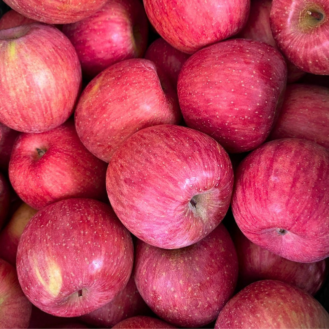 [하루농장] 재구매율1위 부사 사과 고당도, 1박스, 3KG(중과)