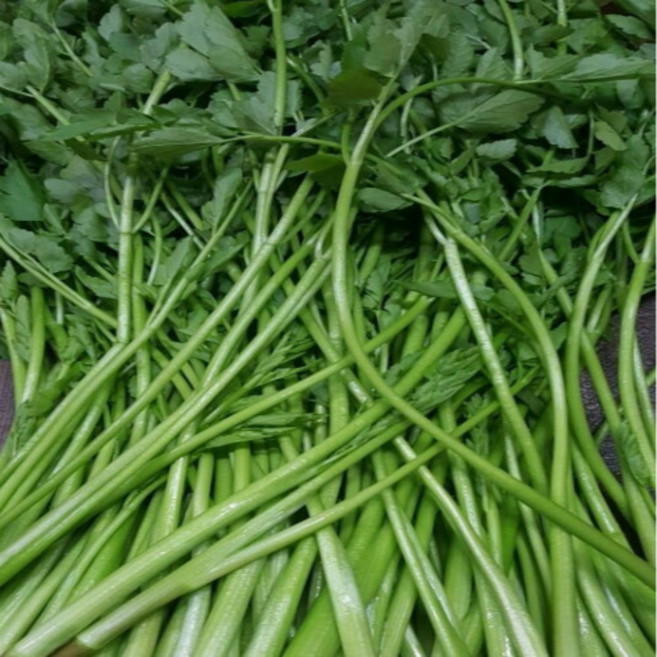 국내산 전라도 산지직송 싱싱 돌 미나리 1kg 4kg (박스포함) 알뜰농장, 1개