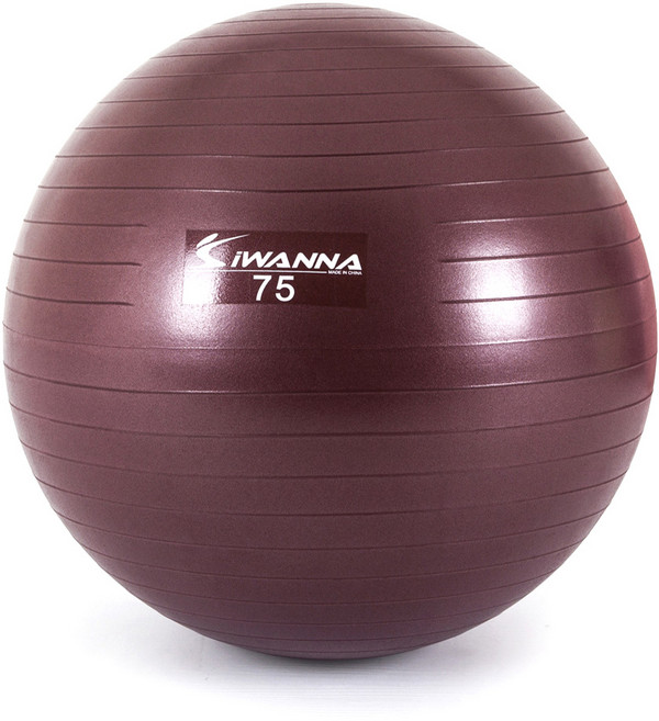 아이워너 안티버스트 파스텔 짐볼, 루비와인