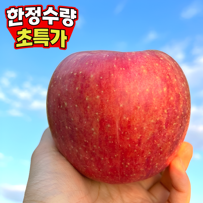 [일일한정수량] Birx선별 극가성비 못난이사과 초특가할인, 1박스, 10kg