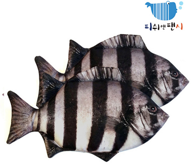 피쉬앤팬시 정품 돌돔필통 물고기필통 생선필통, 1개, 1개