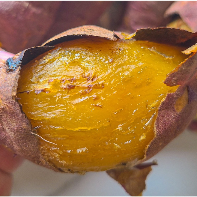 [당도53brix] 더좋은 호박고구마 산지직송, 1개, 3kg(특상)