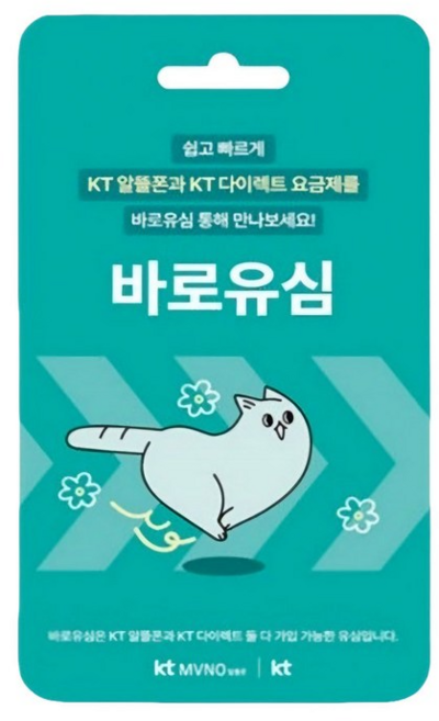 KT 바로유심 1개