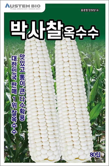 [주주씨앗] 백찰옥수수 씨앗 80립 박사찰옥수수 씨앗 다수확 통큰 옥수수, 1개