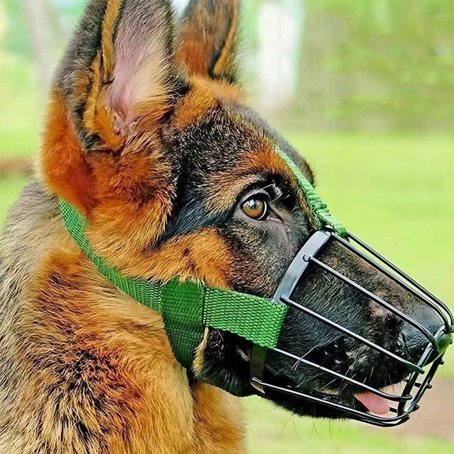 외출 산책 물림방지 마스크 진돗개 입마개 대형견 메탈 훈련용품, M, 블랙, 1개