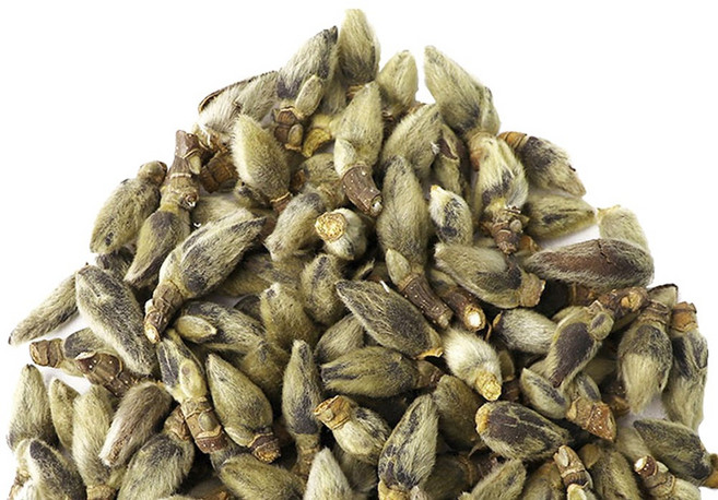 동의한재 100% 국산 햇 신이화 목련꽃봉우리 100g, 1개