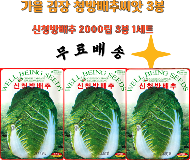 청방배추씨앗 김장배추씨앗 신청방배추종자 가을배추김장 2000립 3봉 1세트, 3개