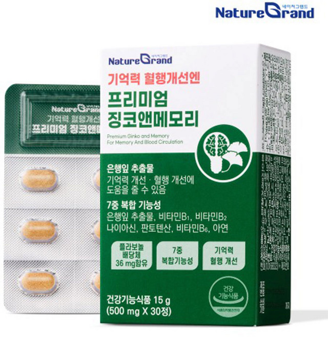 네이처그랜드 프리미엄 징코 메모리 1개월분 기억력개선 은행잎추출물, 1개, 30정