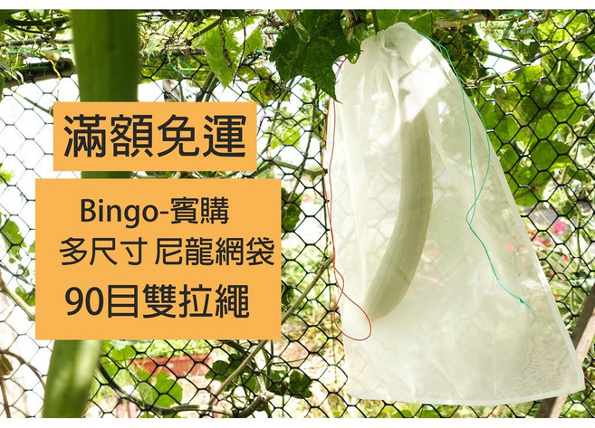 賓購 多尺寸尼龍網袋 90目雙拉繩, 1個, 寬20X長30CM雙拉繩尼龍網袋1個