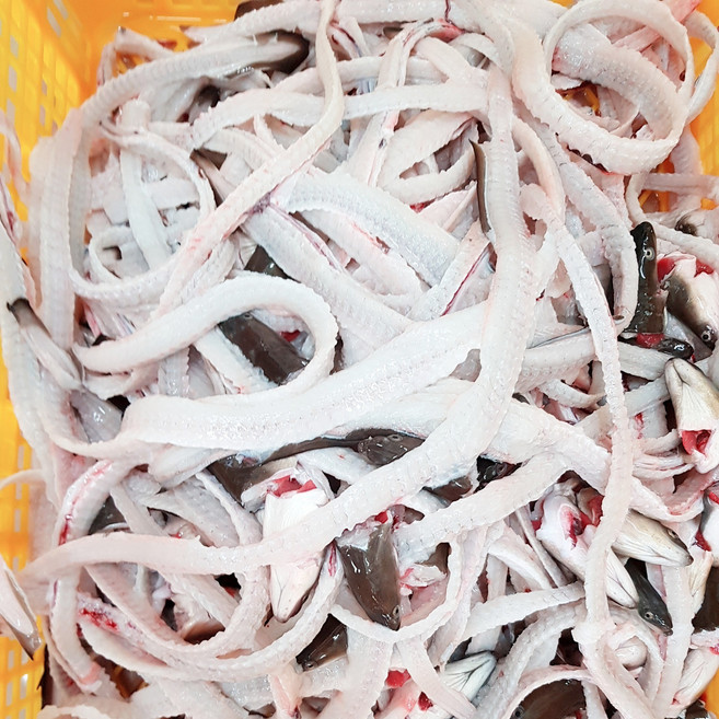 장어뼈와 머리 민물장어 자포니카 튀김간식.장어탕. 장어즙 상원장어랜드, 1개, 1kg