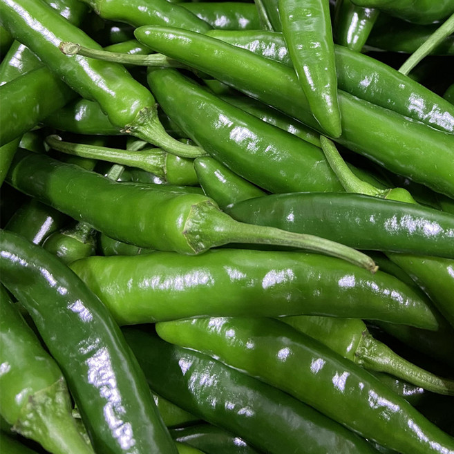 국내산 청양고추 매운 땡초 새벽경매 팜이슈, 1개, 청양고추 500g