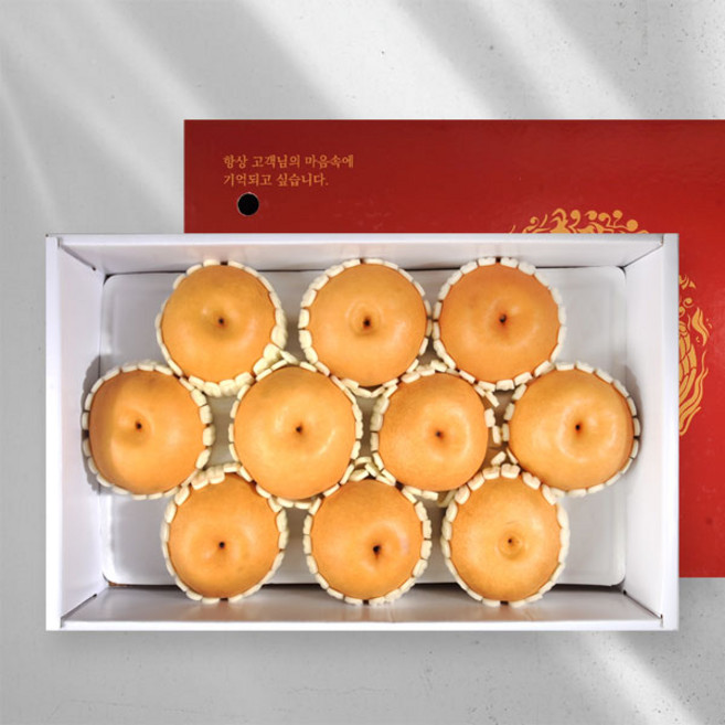 맛과 품질을 보장한 산지직송선물세트 나주봉황배, 1개, 5kg(9-10과)