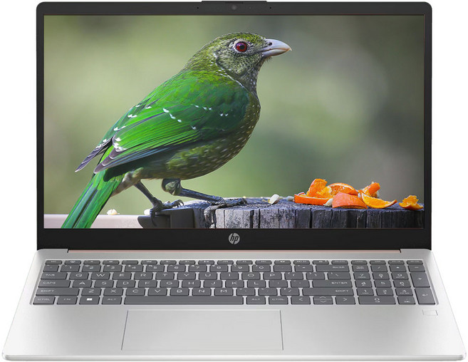 HP 2026 비전 15 코어Ultra5, 15-FD2136TU, Free DOS, 16GB, 4TB, Natural Silver