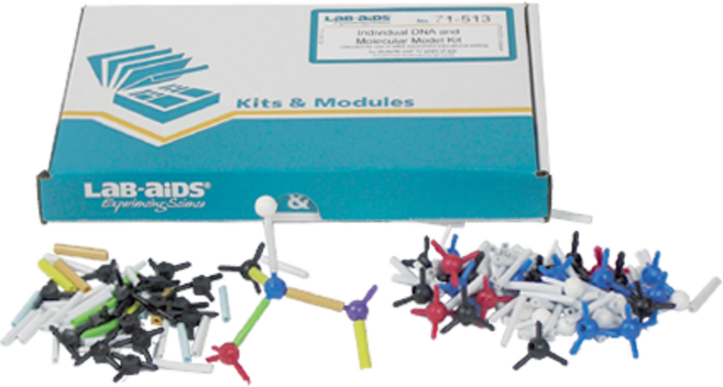 DNA분자모델키트, 1개