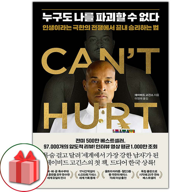 누구도 나를 파괴할 수 없다 도서 책