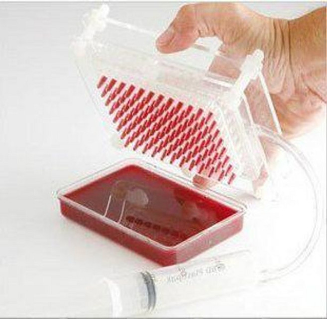 100홀 연어알 날치알 스리라차마요 분자요리 스리라차 만드 마요 타피오카펄 비비수산 만드는, 1개, 수입 생선알 상자 받침 포함