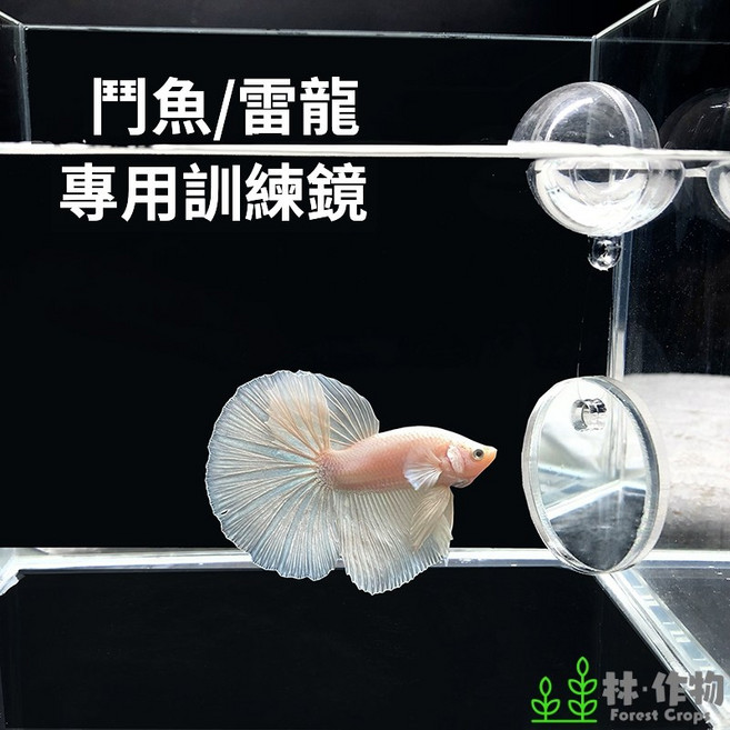 林作物 逗魚漂浮鏡 鬥魚羅漢雷龍專用訓練鏡, 1個, 單購漂浮球+綁線