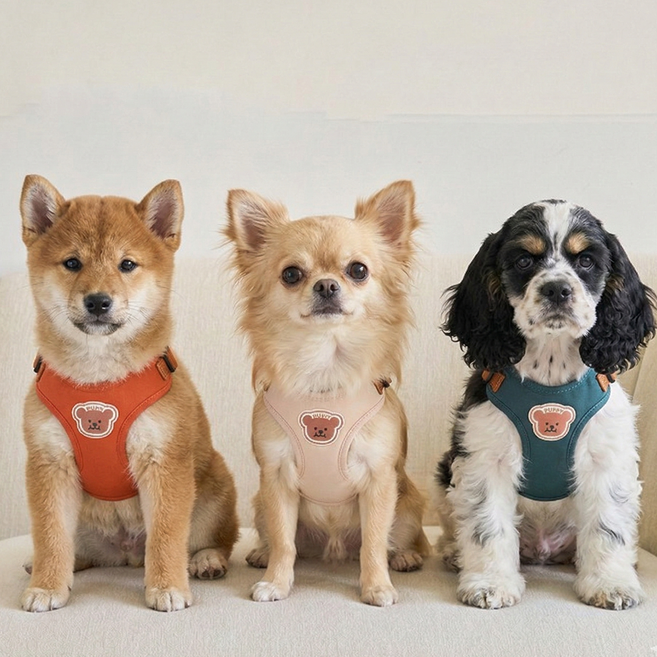 시즌홈 강아지 하네스 리드줄 세트 탈출방지 산책 가슴줄, 1개, 베이지