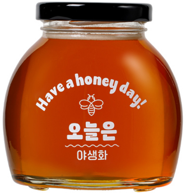 [오늘은 꿀] 야생화 100% 국산 숙성꿀, 6개, 350g