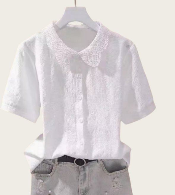 쌍천 레이스 카라 순면 반팔 블라우스 티셔츠