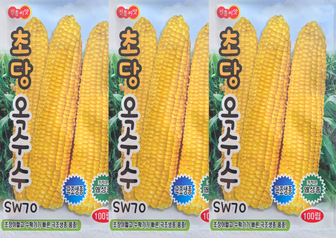 초당옥수수씨앗 3봉1세트 조생종 키작은 초당옥수수종자 찰옥수수, 3개