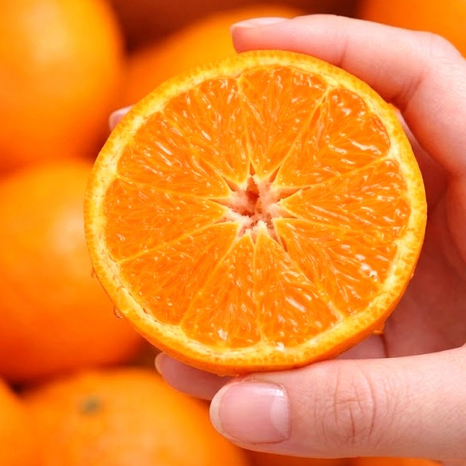 산지직송 고당도 진한 단맛 카라향, 1박스, 2kg