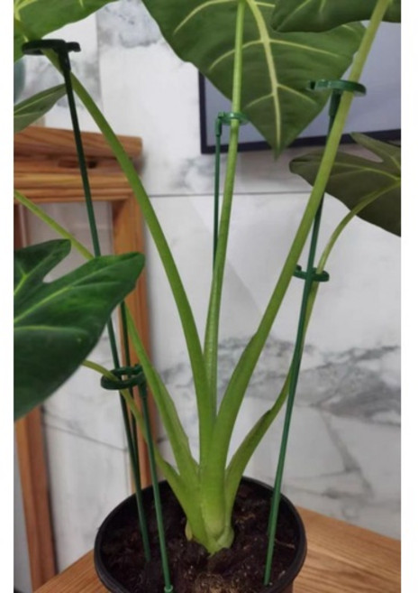 植物支架 園藝支撐桿, 37公分, 1個