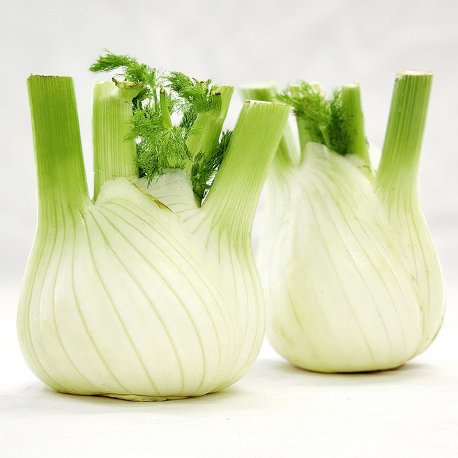 [울팜] 아삭 향긋한 허브채소 펜넬, 1개, 펜넬 1개
