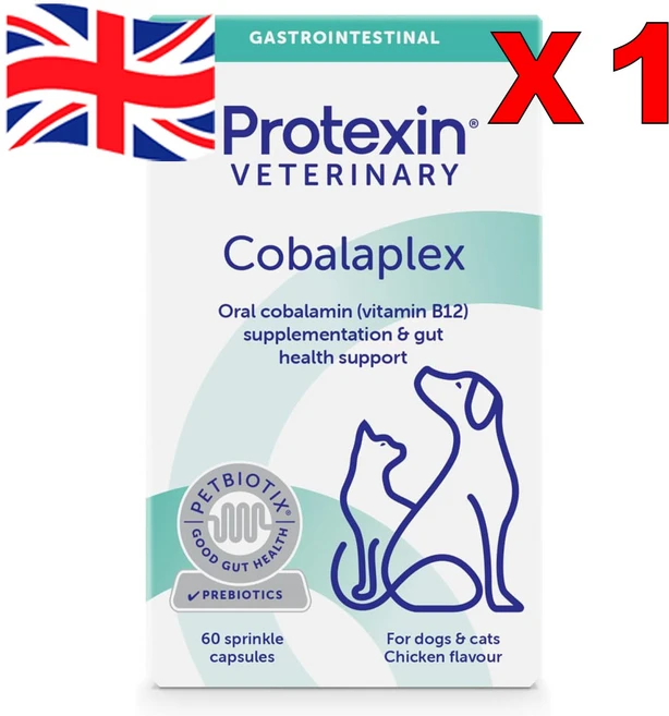 60정 1통 프로텍신 코발라플렉스 B12 B9 엽산 반려견 반려묘 Protexin Cobalaplex Prebiotics, 종합영양제, 1개 - 쿠팡