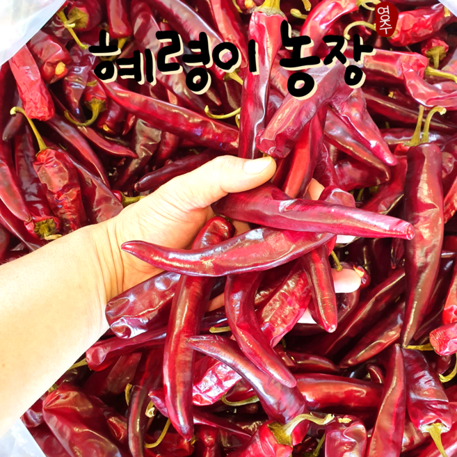 고추 건고추 햇고추 청양건고추(매운맛) 25년 국산, 1개, 청양건고추(꼭지제거)매운맛 600g