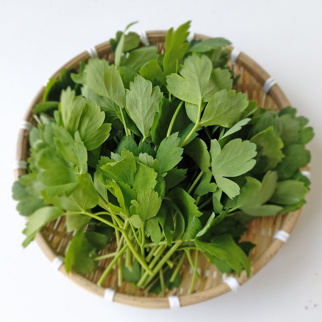 당일수확 방풍나물 방풍나물잎 갯기름나물 생나물 봄나물 산나물 방풍장아찌용, 방풍나물(갯기름나물) 3kg, 1개