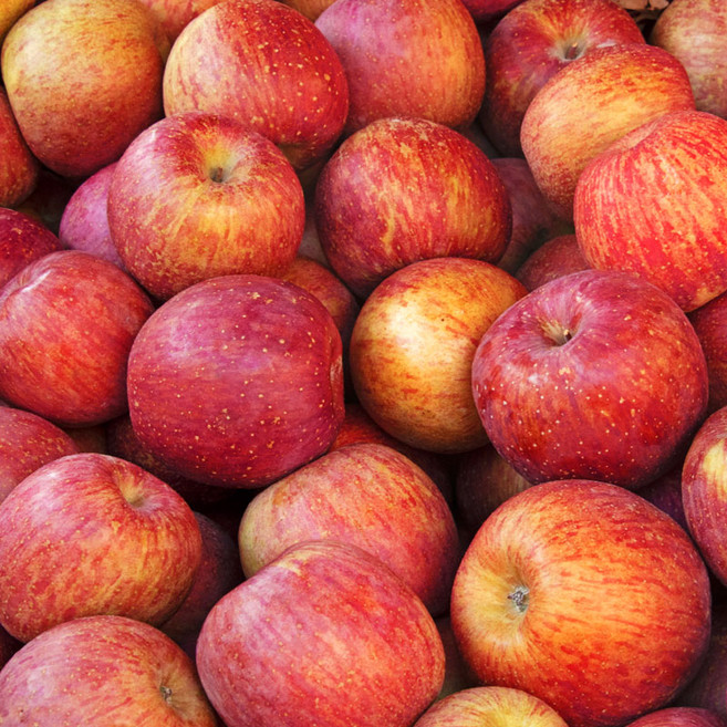 모두의보부상 백설공주도 먹고 반한 부사 사과, 1박스, 랜덤과 1.2kg